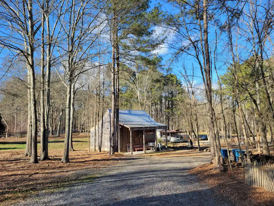 Small weathered board cabin with a tin roof and 'LIVE MUSIC' sign on its porch, a gravel drive, tall pines and bare hardwoods, a black horse fence at left, picnic shelter behind