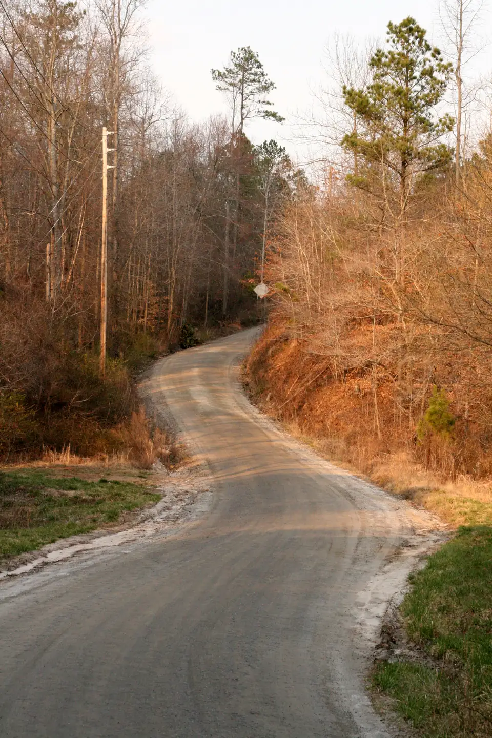 A winding gravel/dirt road climbing between bare late-winter woods and a red-clay bank, lit warm orange by low sun; a utility pole at left